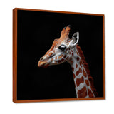 Brown giraffe profile on black - White Giraffe Wall Art