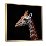Brown giraffe profile on black - White Giraffe Wall Art