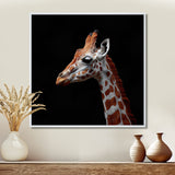Brown giraffe profile on black - White Giraffe Wall Art