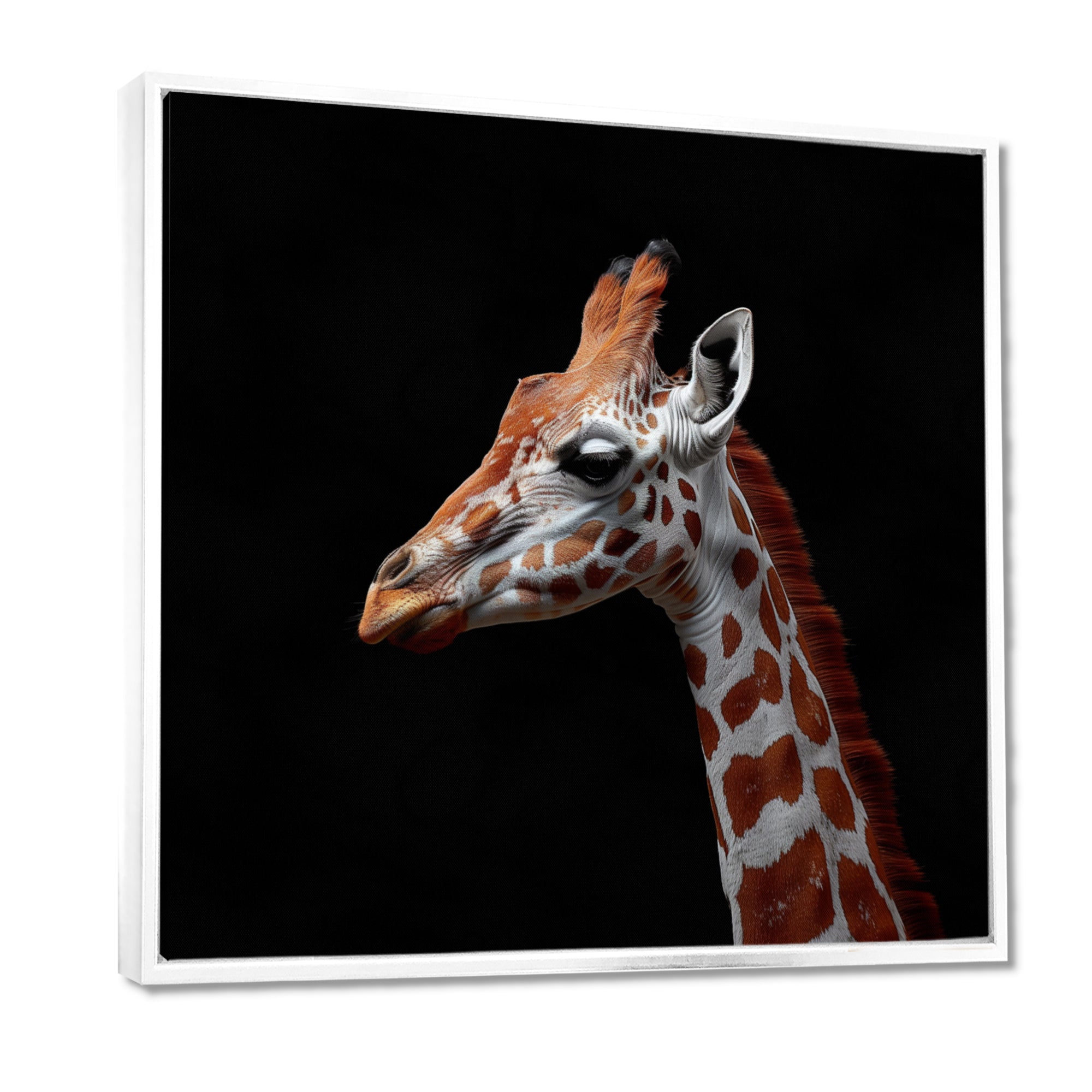 Brown giraffe profile on black - White Giraffe Wall Art