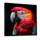 Red and orange parrot portrait on black - Parrot Canvas Wall Art