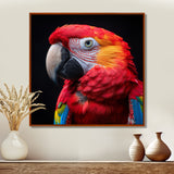 Red and orange parrot portrait on black - Parrot Canvas Wall Art