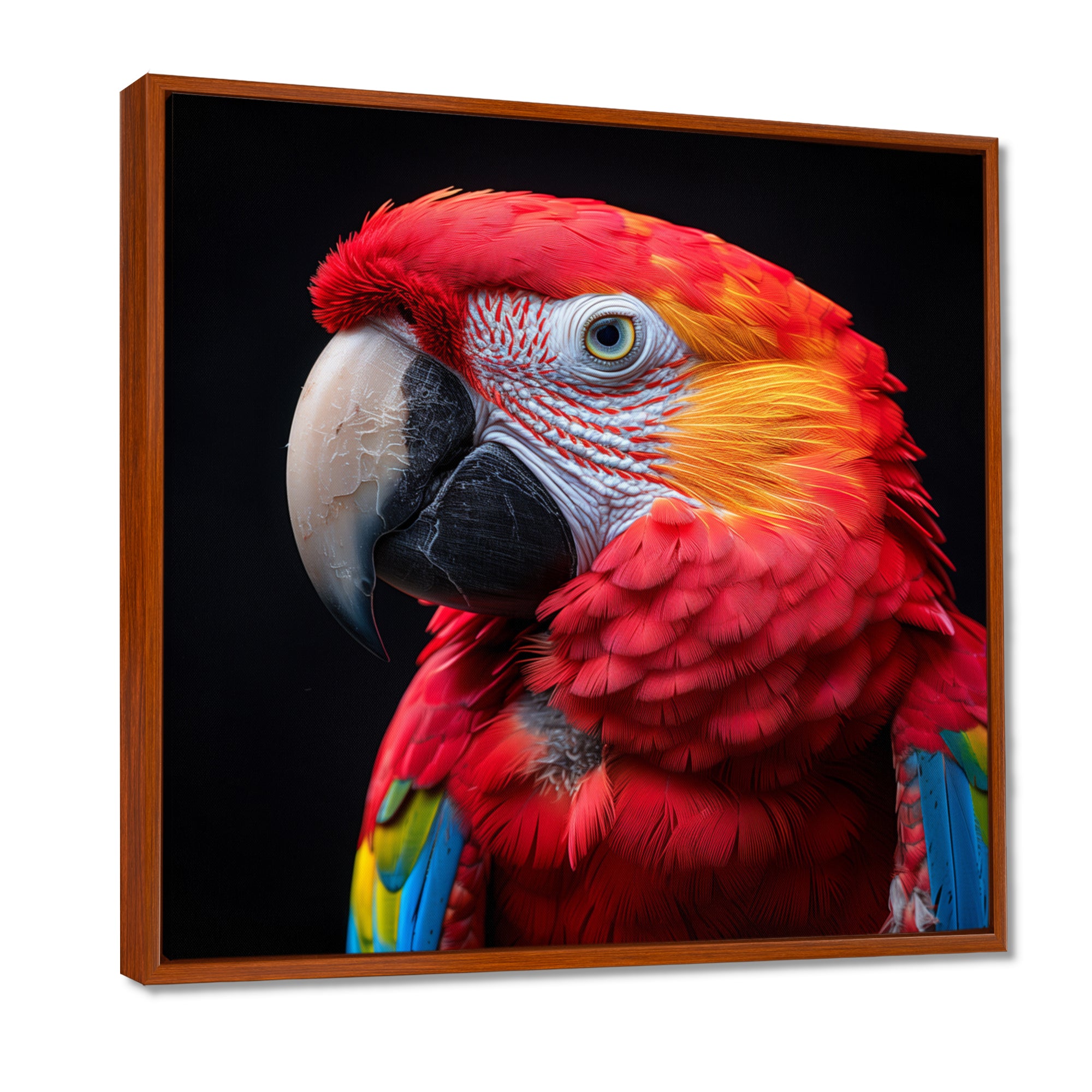Red and orange parrot portrait on black - Parrot Canvas Wall Art