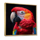 Red and orange parrot portrait on black - Parrot Canvas Wall Art