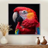 Red and orange parrot portrait on black - Parrot Canvas Wall Art