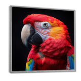 Red and orange parrot portrait on black - Parrot Canvas Wall Art