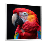Red and orange parrot portrait on black - Parrot Canvas Wall Art