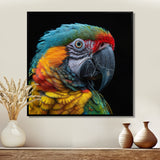 Green and yellow parrot portrait on black - Parrot Wall Decor