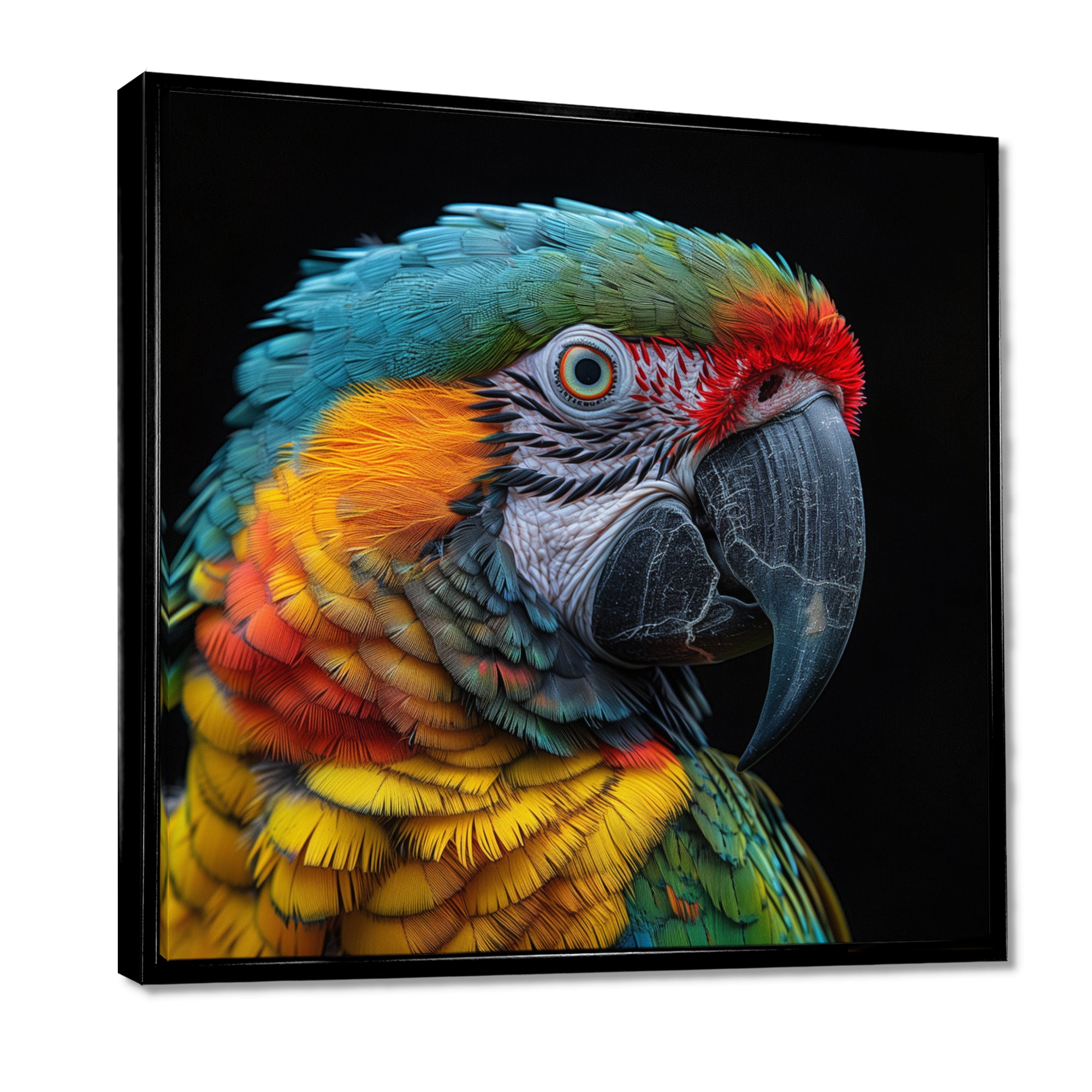 Green and yellow parrot portrait on black - Parrot Wall Decor