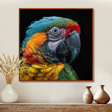 Green and yellow parrot portrait on black - Parrot Wall Decor