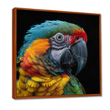 Green and yellow parrot portrait on black - Parrot Wall Decor