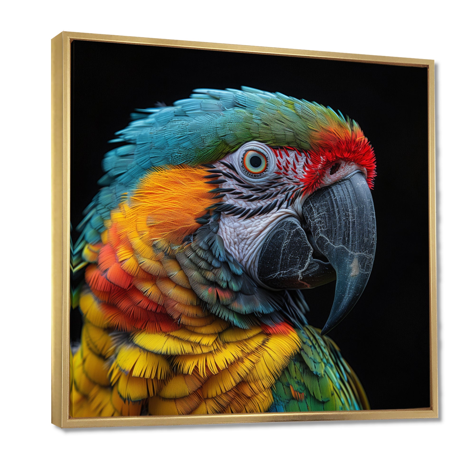 Green and yellow parrot portrait on black - Parrot Wall Decor