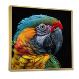 Green and yellow parrot portrait on black - Parrot Wall Decor