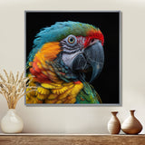 Green and yellow parrot portrait on black - Parrot Wall Decor
