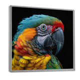 Green and yellow parrot portrait on black - Parrot Wall Decor