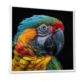 Green and yellow parrot portrait on black - Parrot Wall Decor