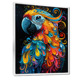 Blue orange parrot portrait on black - Parrot Wall Decor