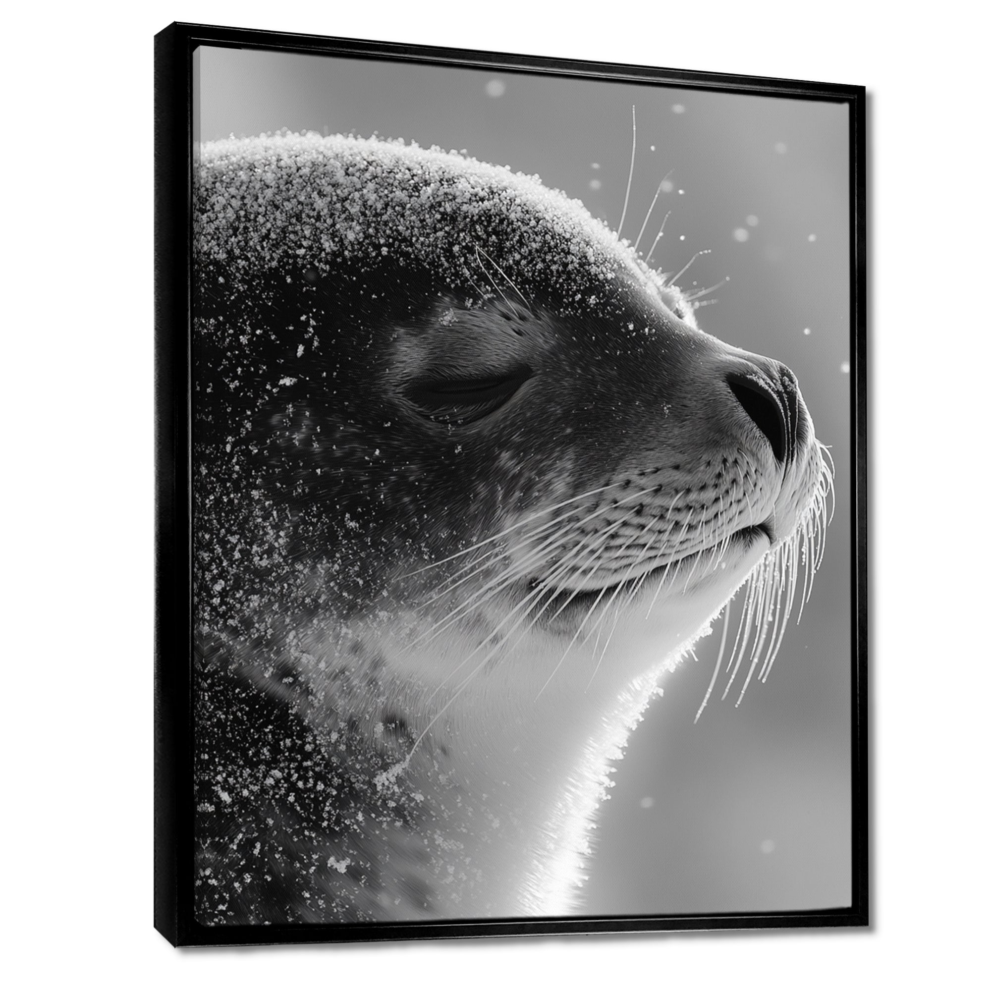 Monochrome Black Seal Accented With Grey - Seal Wall Decor