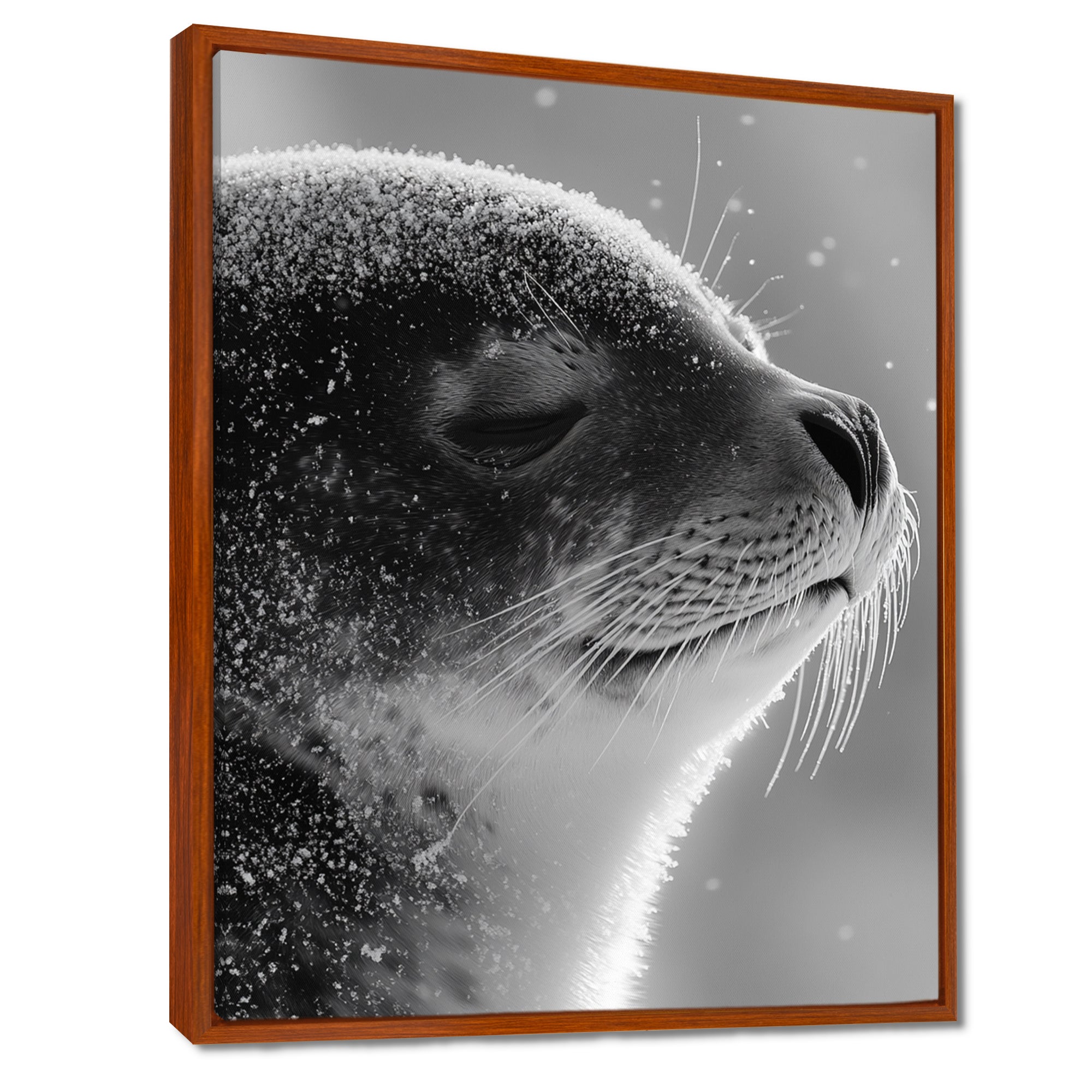 Monochrome Black Seal Accented With Grey - Seal Wall Decor