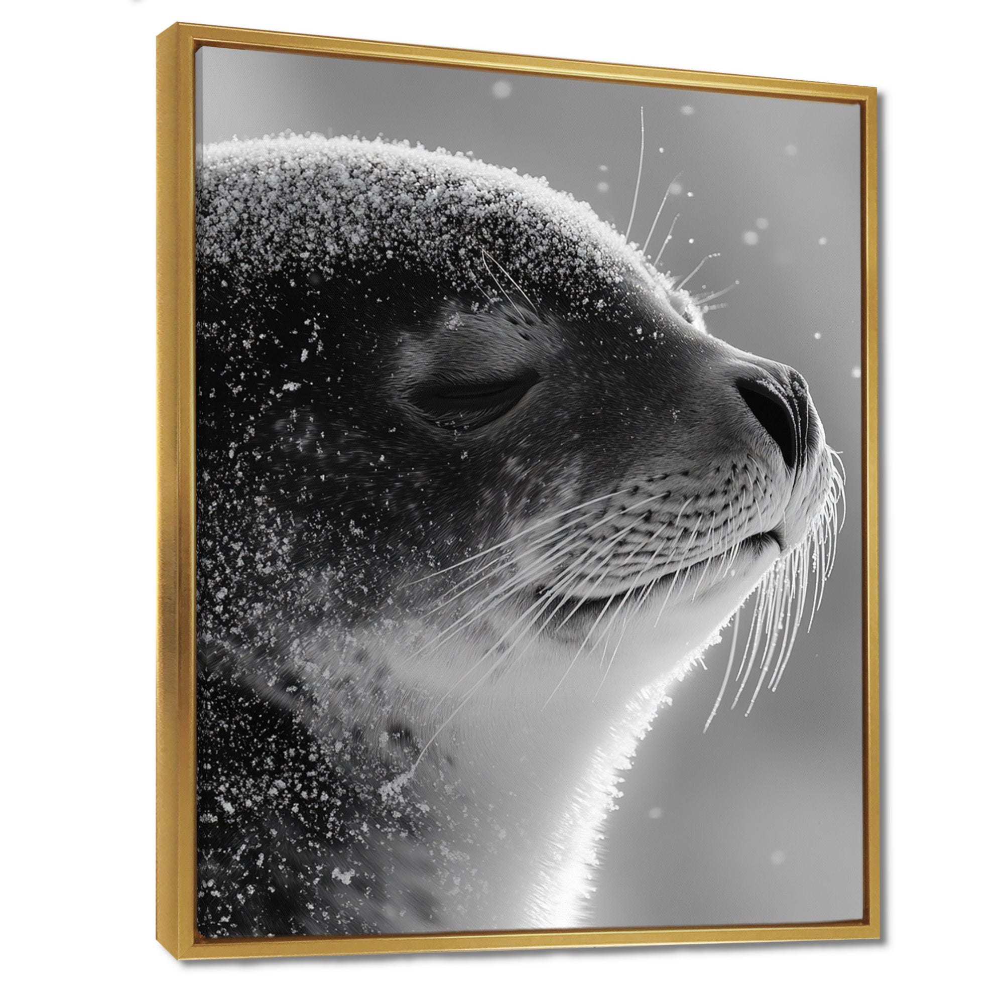 Monochrome Black Seal Accented With Grey - Seal Wall Decor