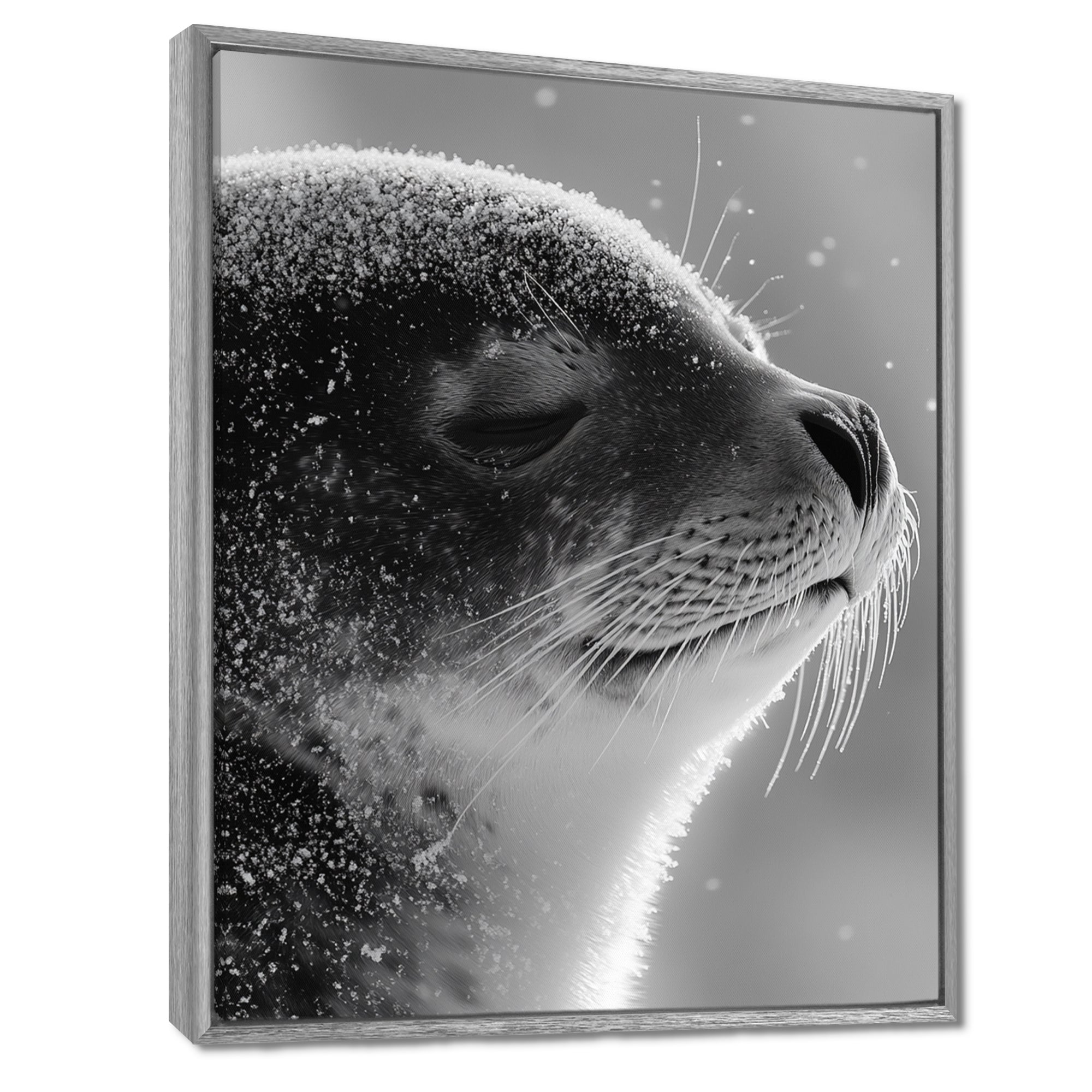 Monochrome Black Seal Accented With Grey - Seal Wall Decor