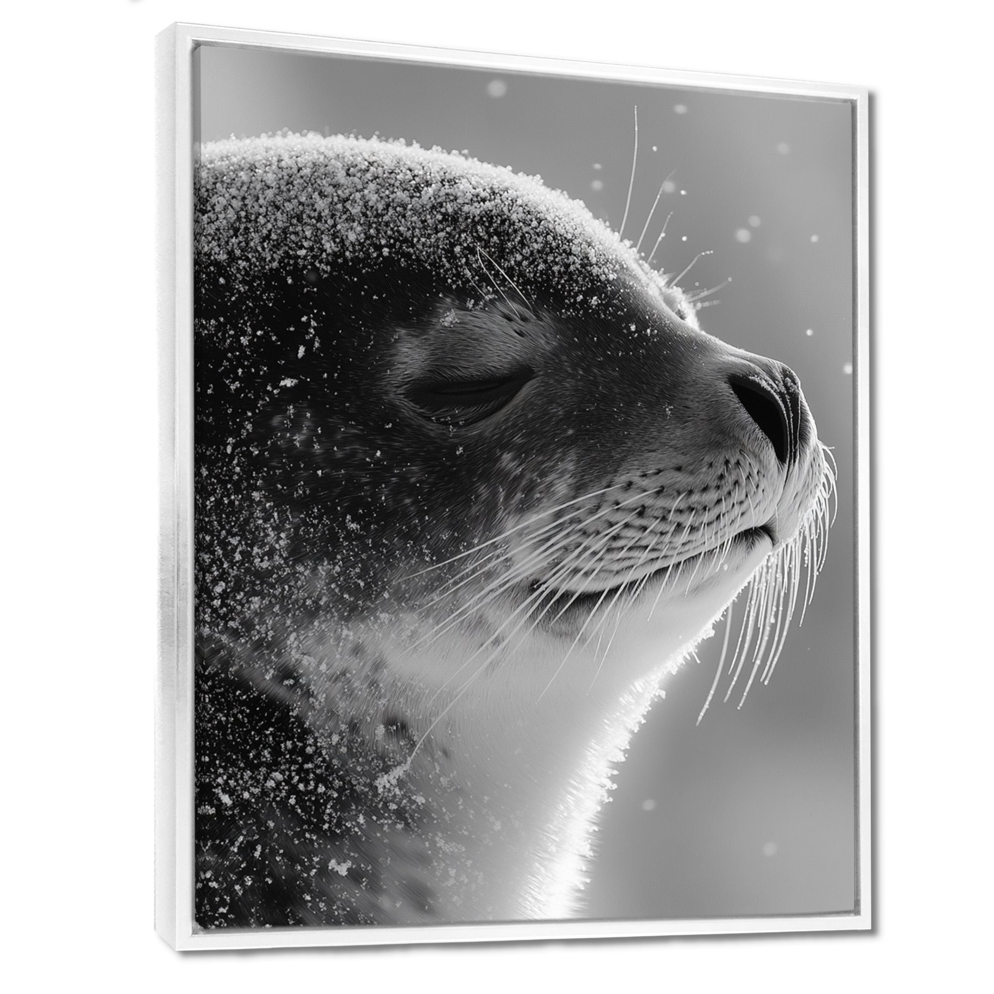 Monochrome Black Seal Accented With Grey - Seal Wall Decor