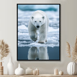 Polar Bear On The Ice Floes - Bear Wall Art Prints