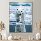 Polar Bear On The Ice Floes - Bear Wall Art Prints