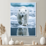 Polar Bear On The Ice Floes - Bear Wall Art Prints