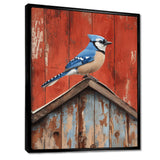 Blue Jay On The Barn Roof - Blue Bird Wall Art