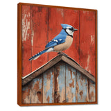 Blue Jay On The Barn Roof - Blue Bird Wall Art