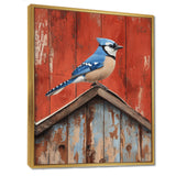Blue Jay On The Barn Roof - Blue Bird Wall Art