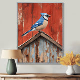 Blue Jay On The Barn Roof - Blue Bird Wall Art