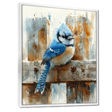 Blue Jay On The Farm Gate - Bird Framed Canvas Art