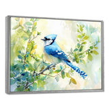 Pastel Blue Jay Perched On A Branch - Bird Living Room Wall Art