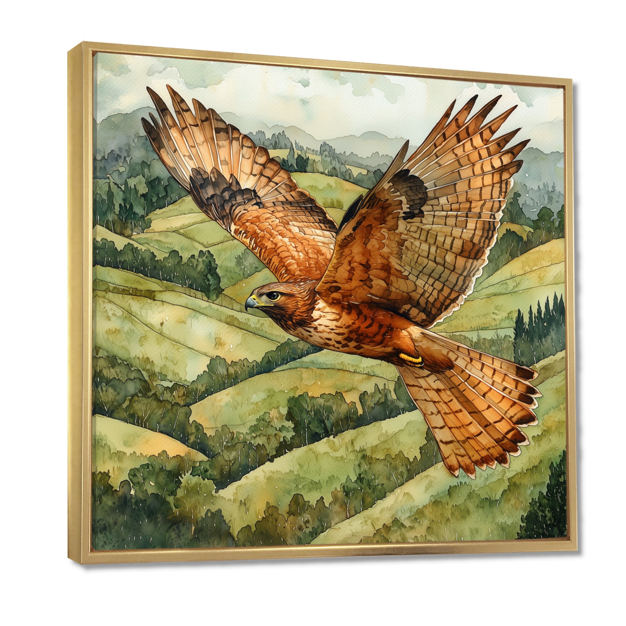 Eagle Hawk Over The Pasture - Bird Wall Art Prints
