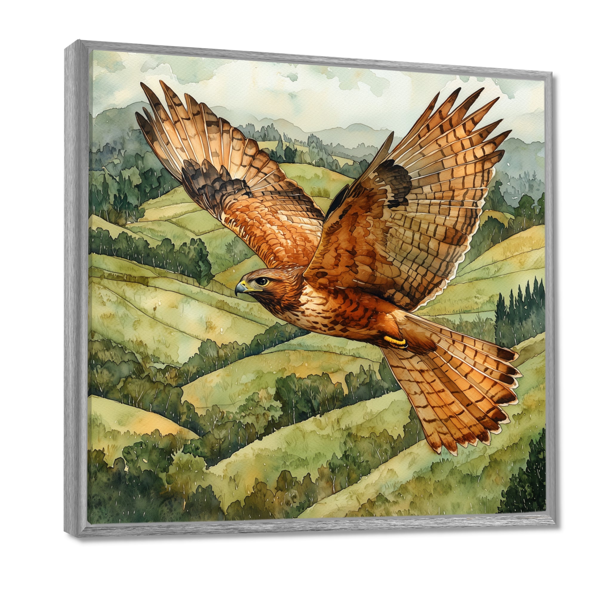 Eagle Hawk Over The Pasture - Bird Wall Art Prints