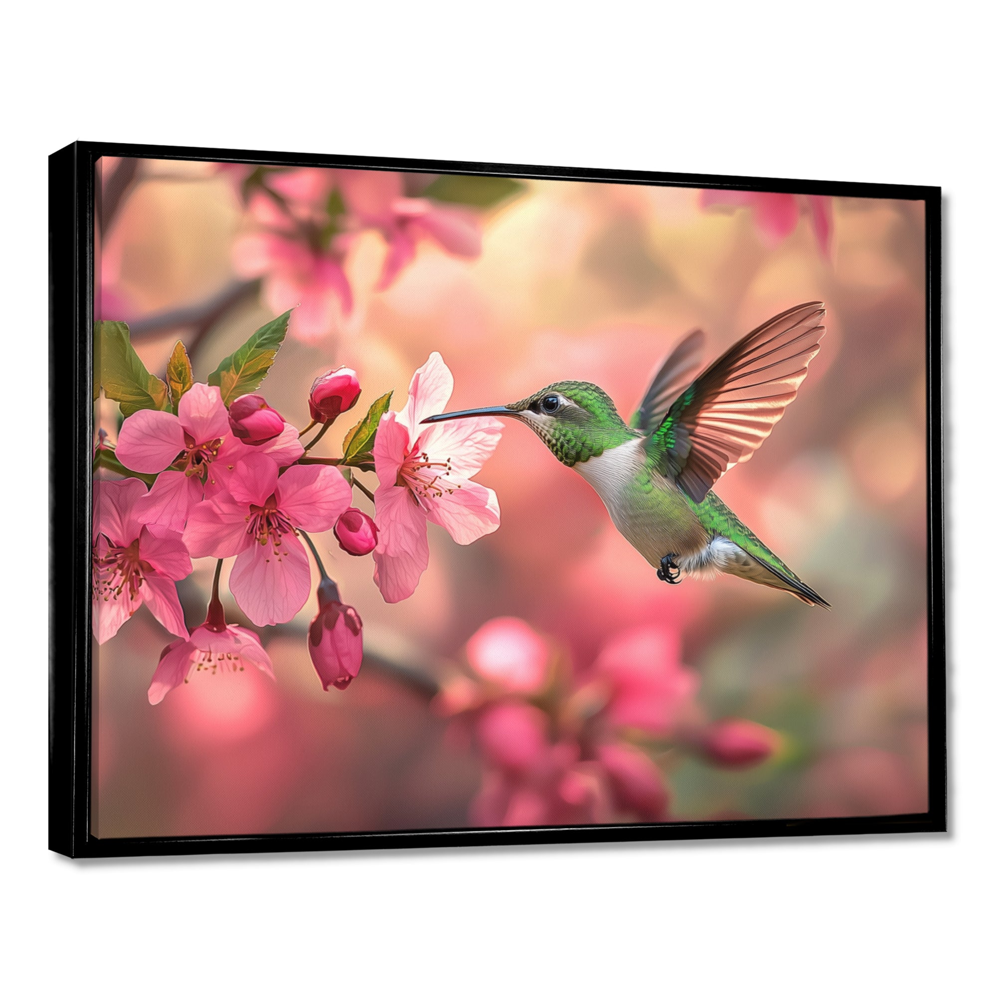 Hummingbird And Blossoms - Bird Canvas Wall Art