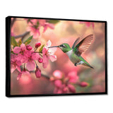 Hummingbird And Blossoms - Bird Canvas Wall Art
