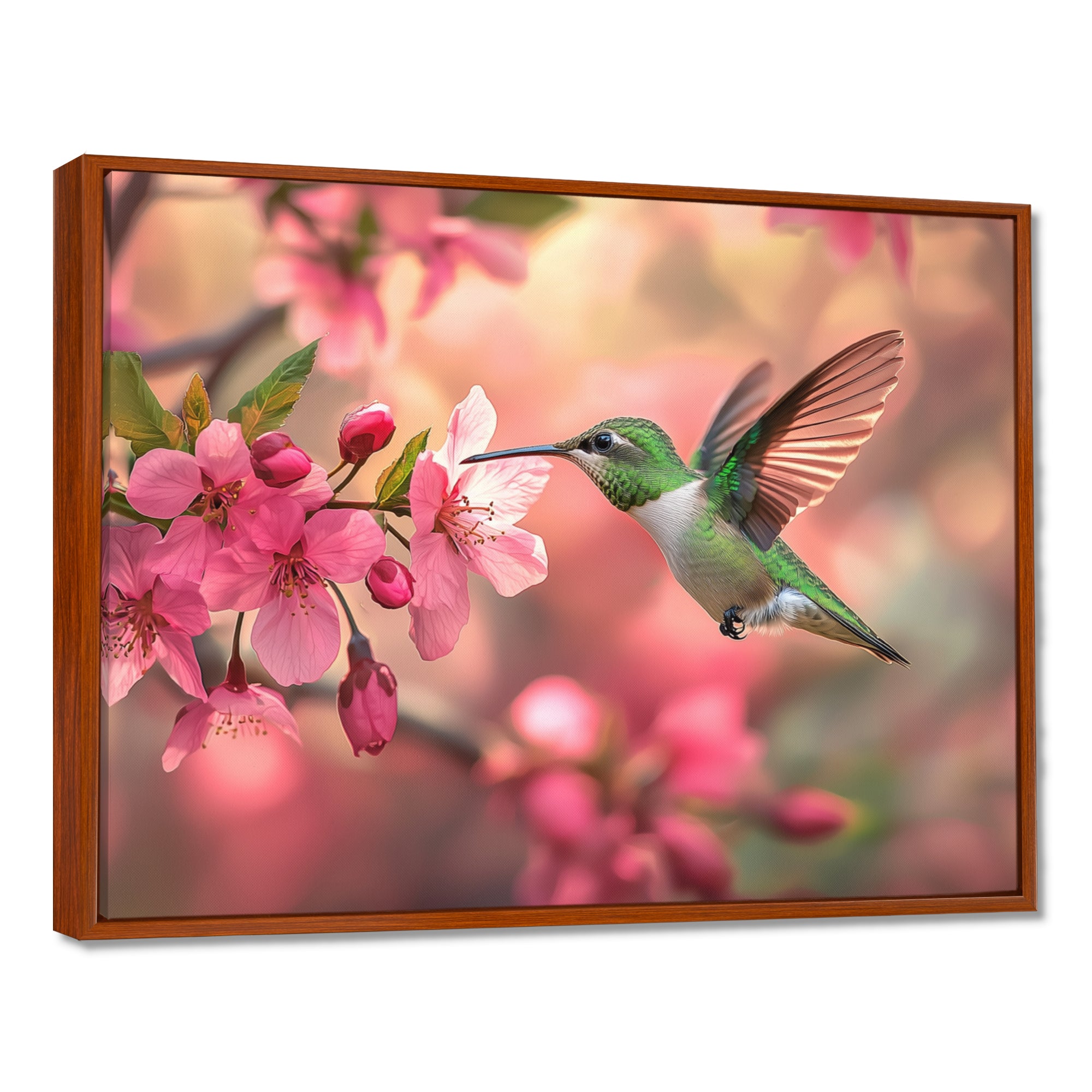 Hummingbird And Blossoms - Bird Canvas Wall Art