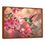 Hummingbird And Blossoms - Bird Canvas Wall Art