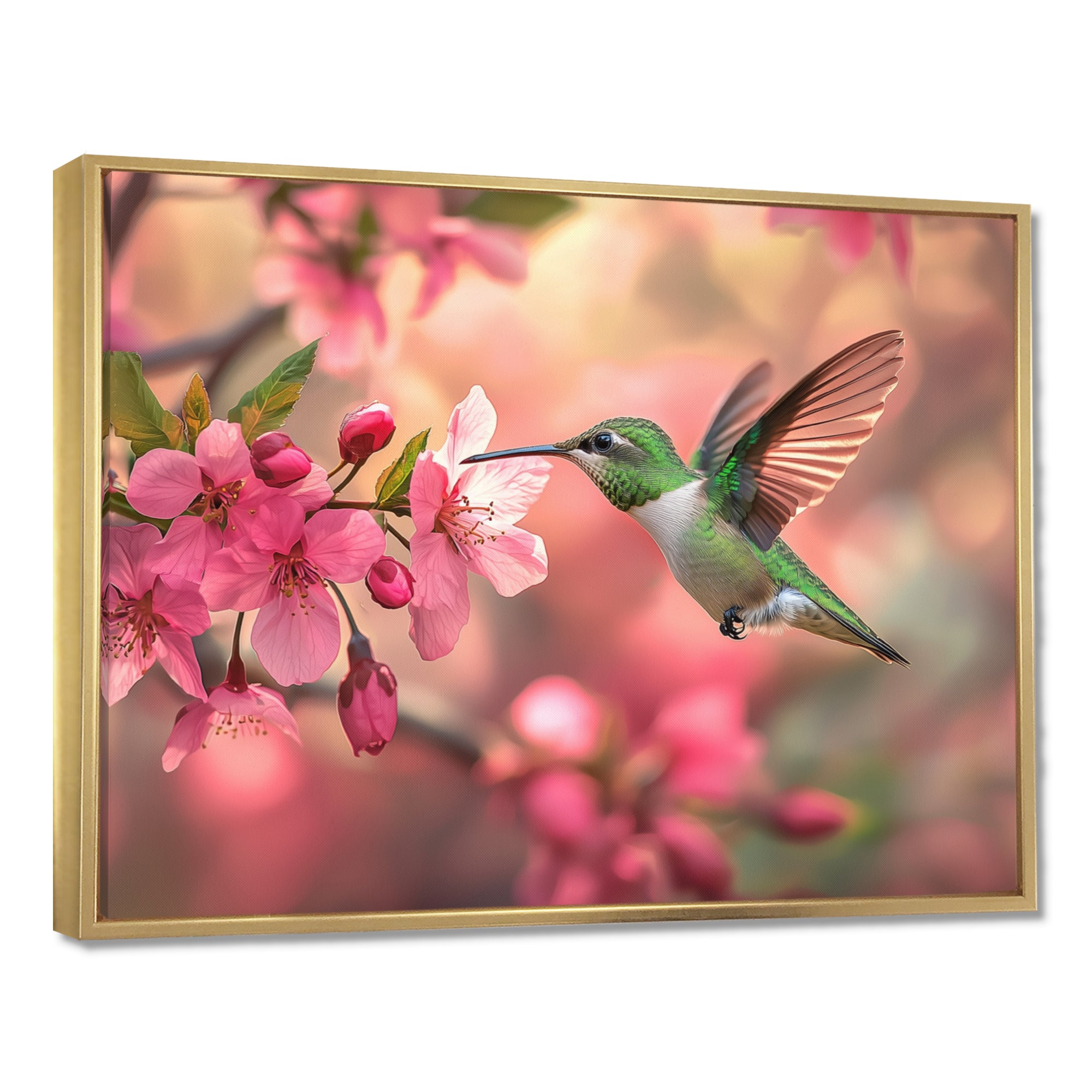 Hummingbird And Blossoms - Bird Canvas Wall Art