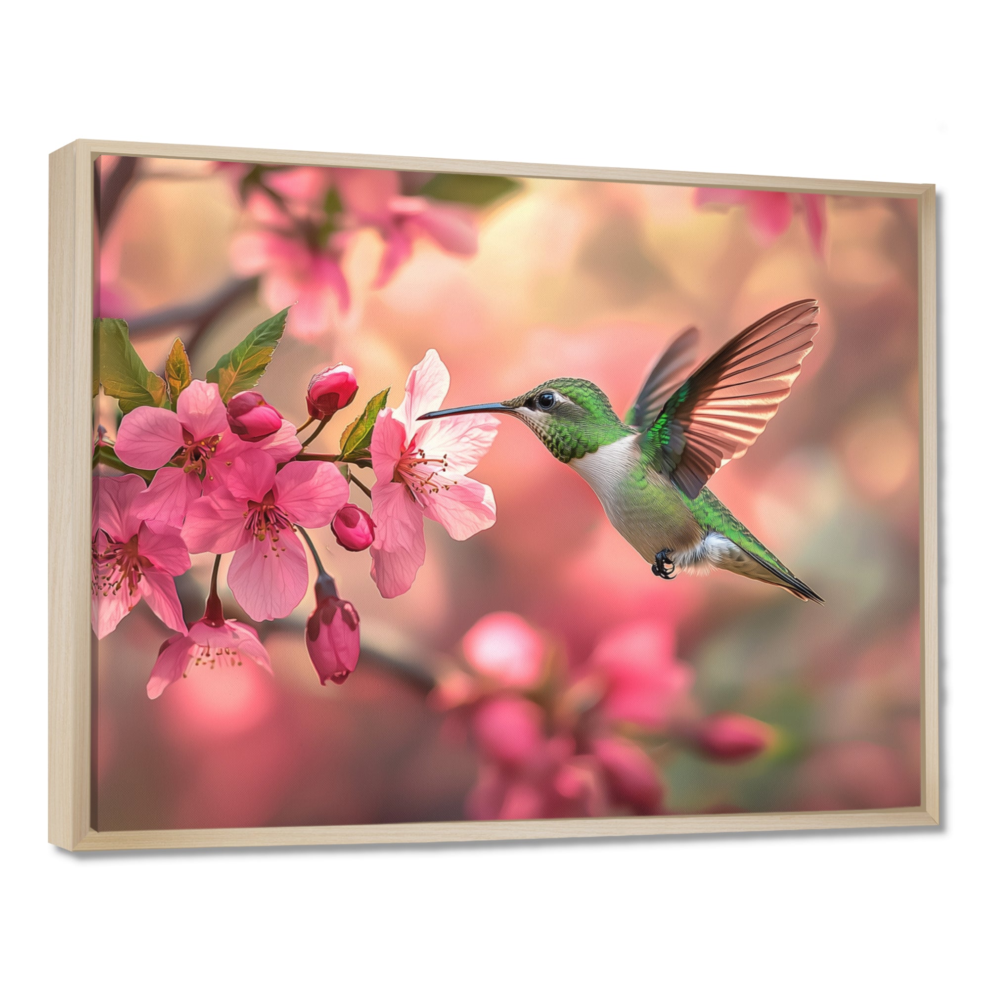 Hummingbird And Blossoms - Bird Canvas Wall Art