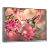 Hummingbird And Blossoms - Bird Canvas Wall Art