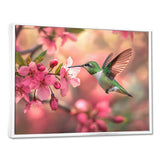 Hummingbird And Blossoms - Bird Canvas Wall Art