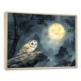 Mistic Owl In The Moonlight - Owl Framed Canvas Art