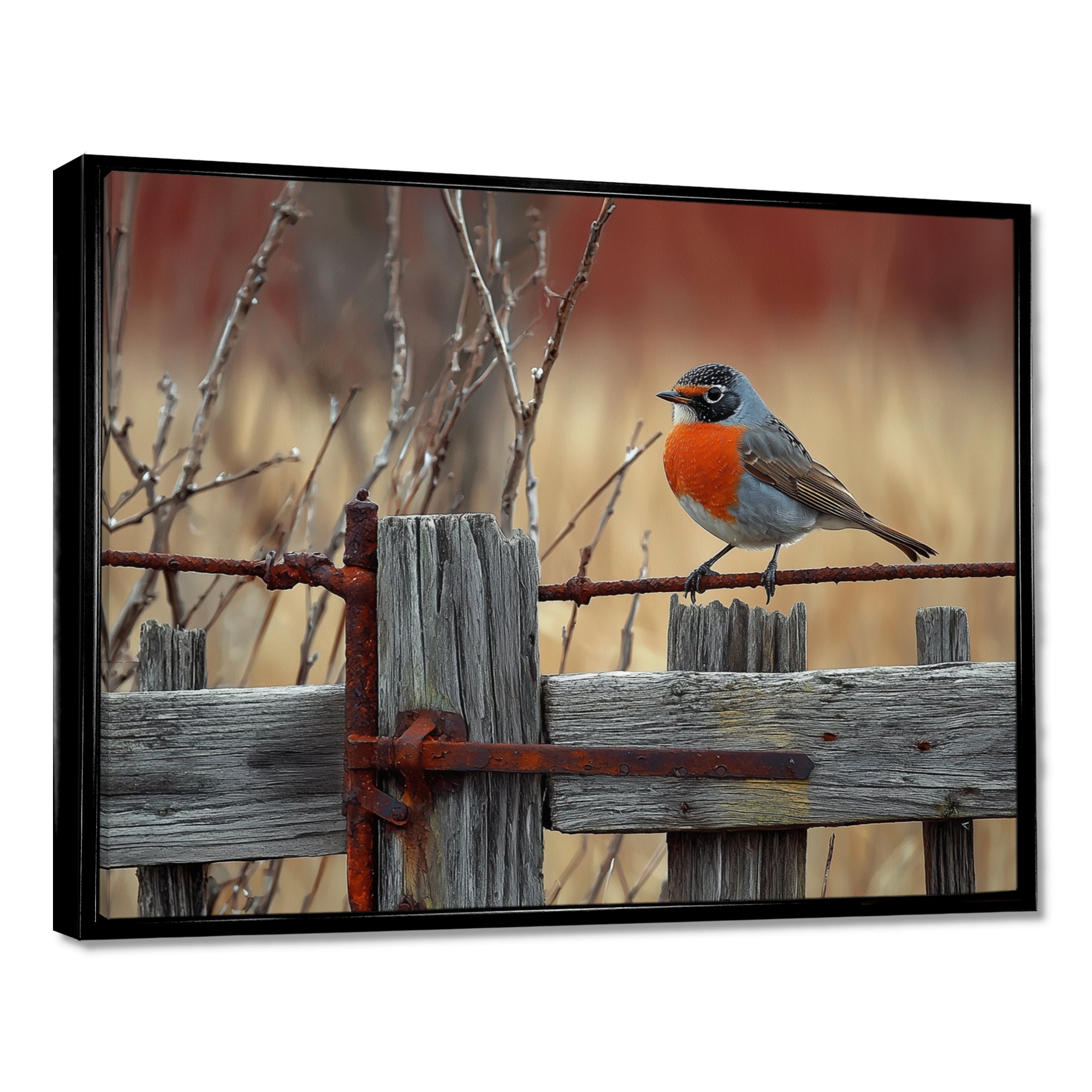 Robin Bird On The Farm Gate - Bird Framed Canvas Art