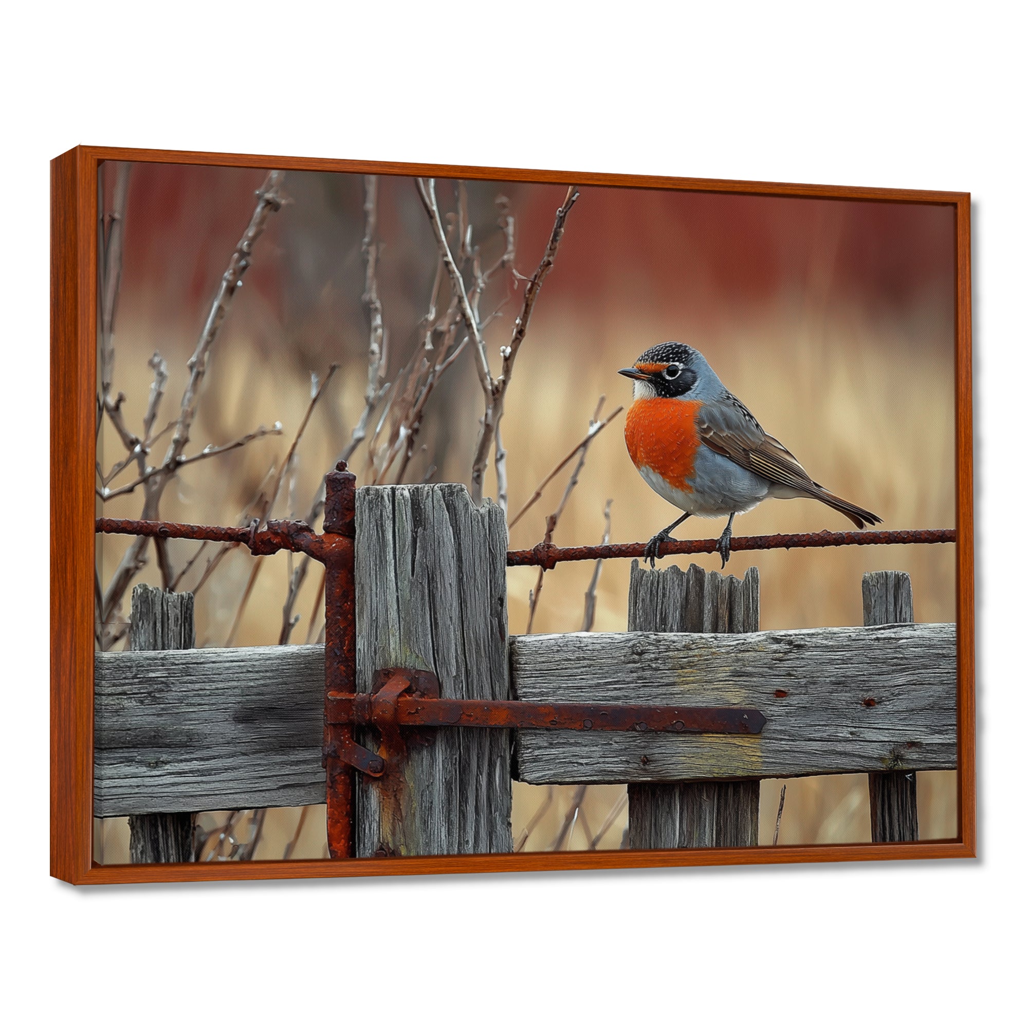 Robin Bird On The Farm Gate - Bird Framed Canvas Art
