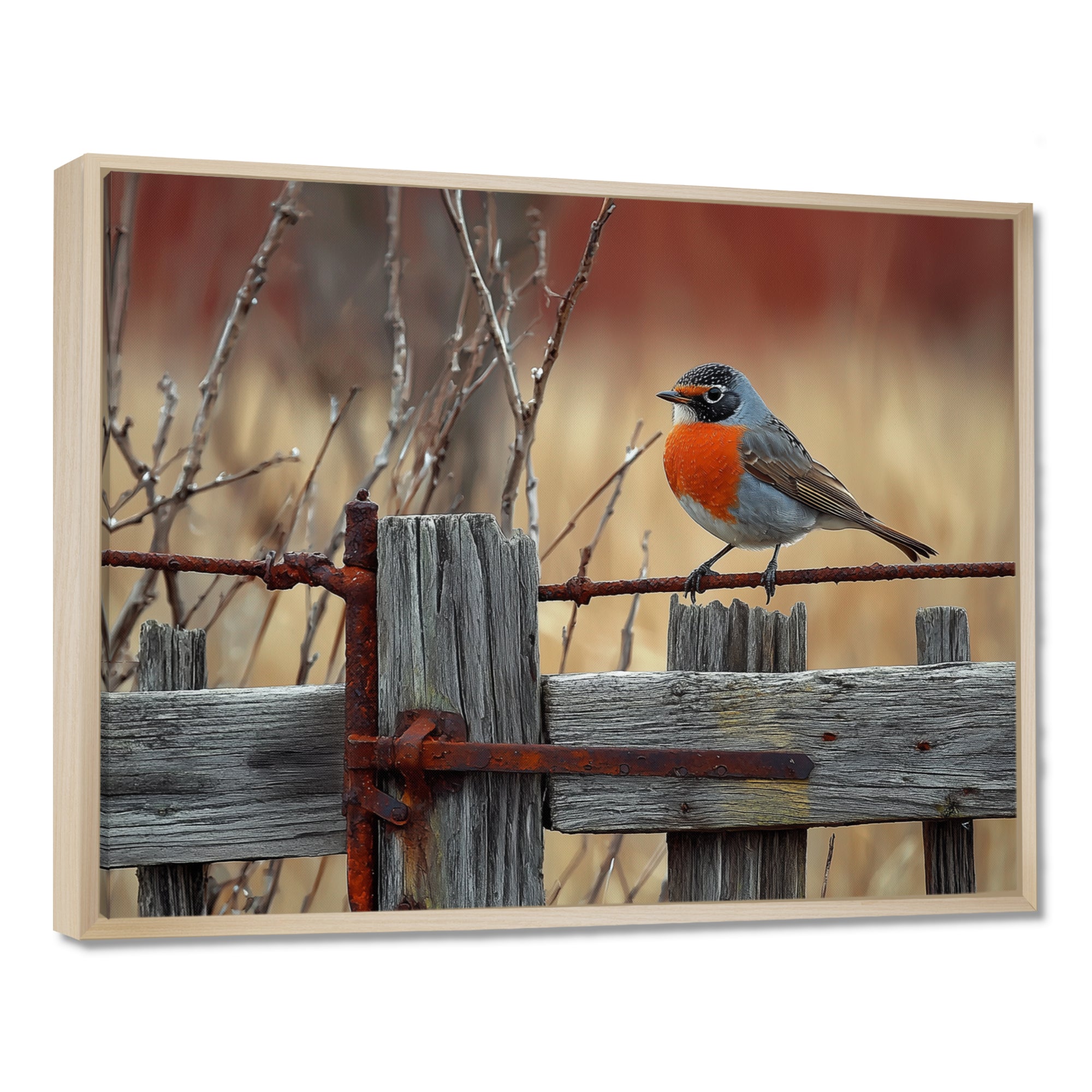 Robin Bird On The Farm Gate - Bird Framed Canvas Art