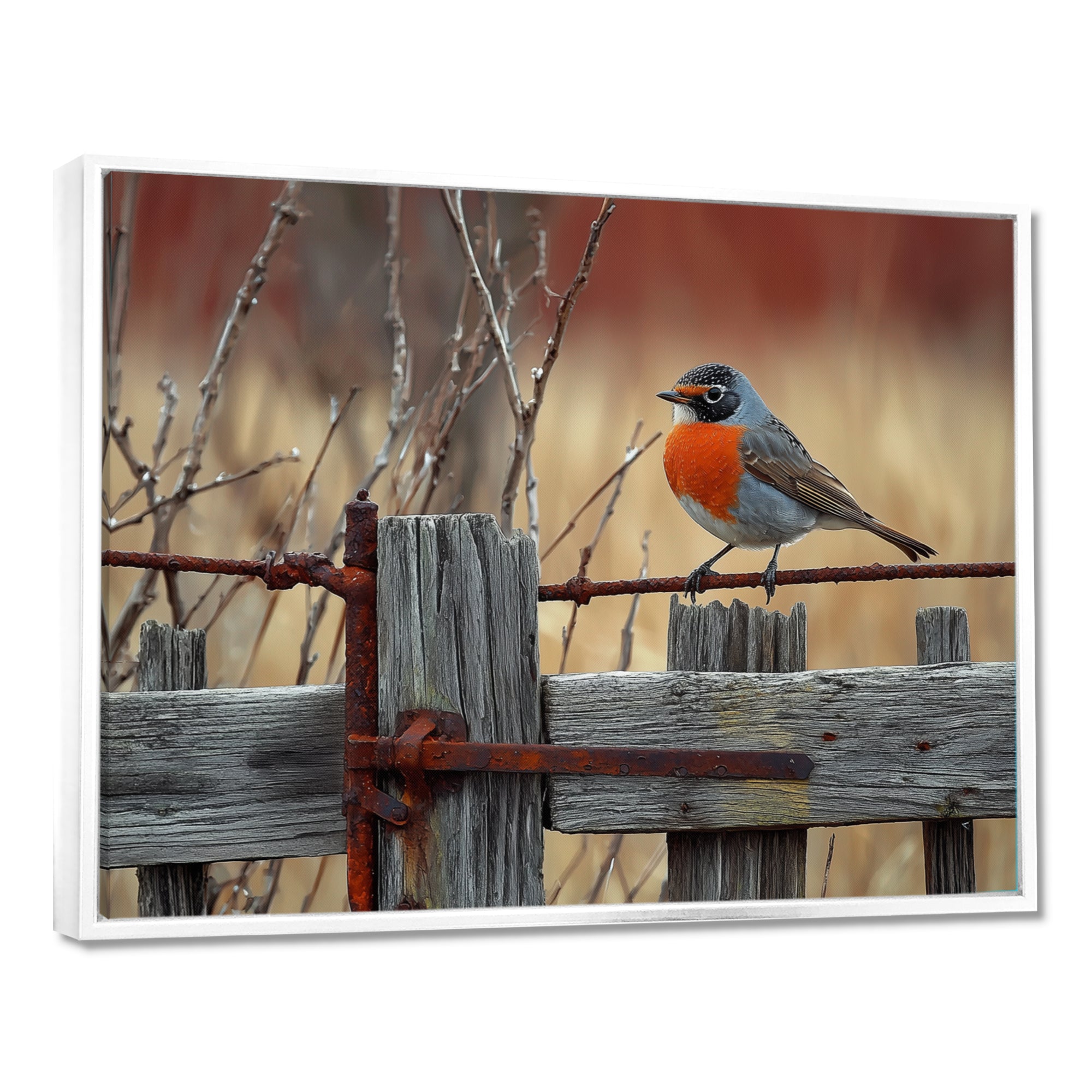 Robin Bird On The Farm Gate - Bird Framed Canvas Art